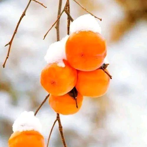 为了生活--继续