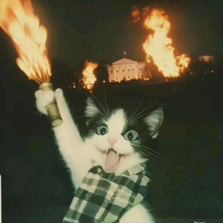 🏊‍♀️🏊‍♀️🏊‍♀️