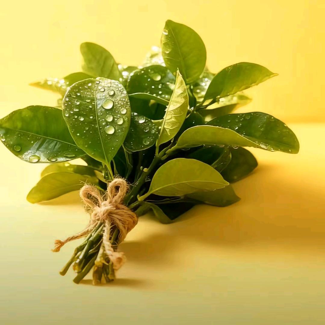 小飞霞（涨粉ing）