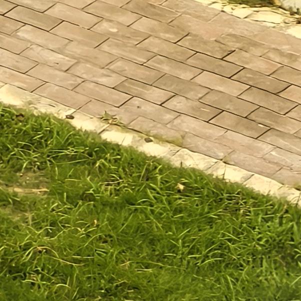 (ง •̀_•́)ง