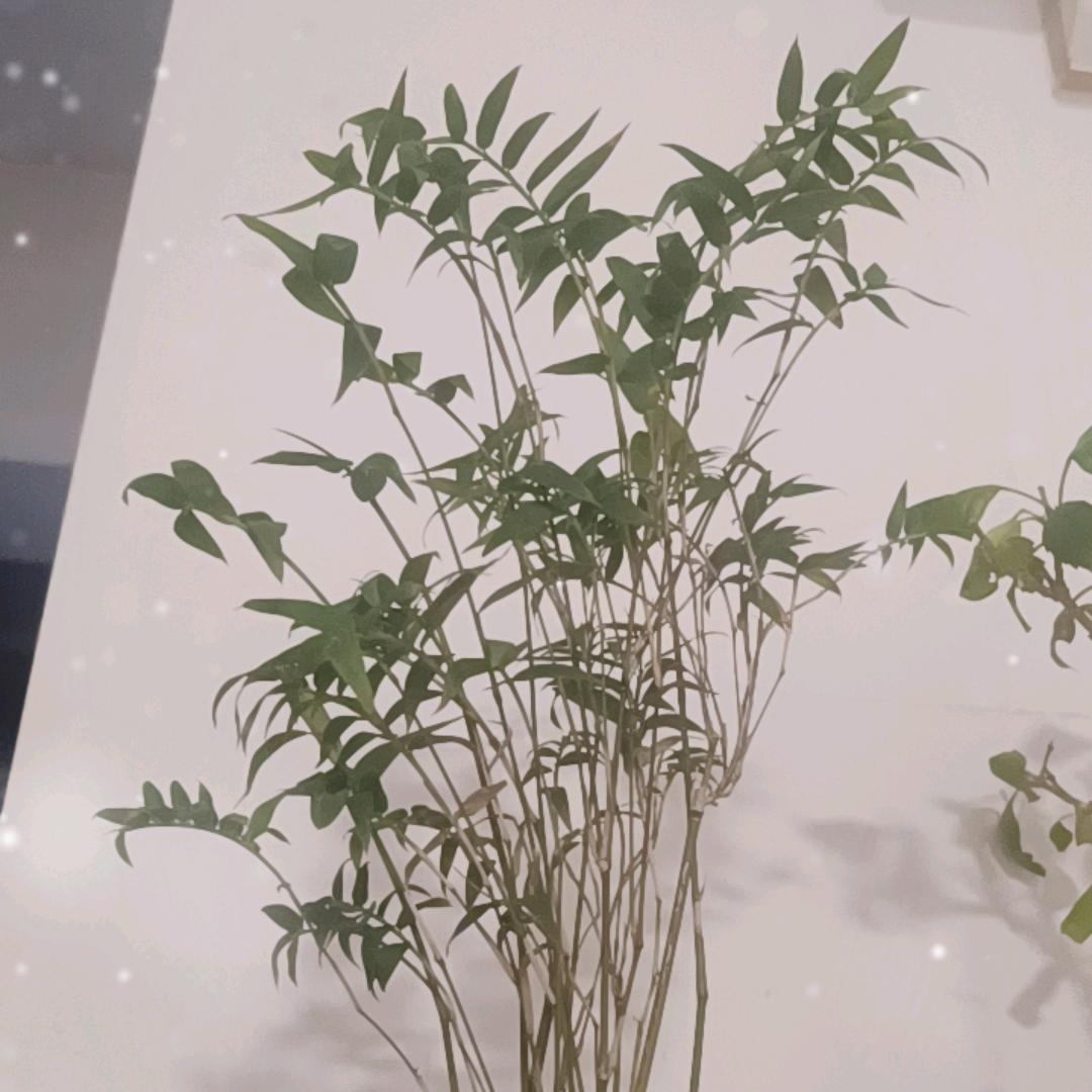 陌生