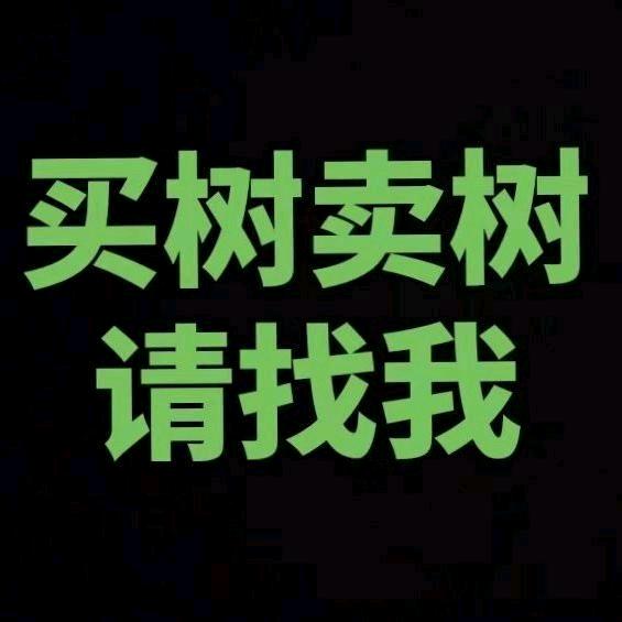 永信园林 + 苗圃直销绿化苗木