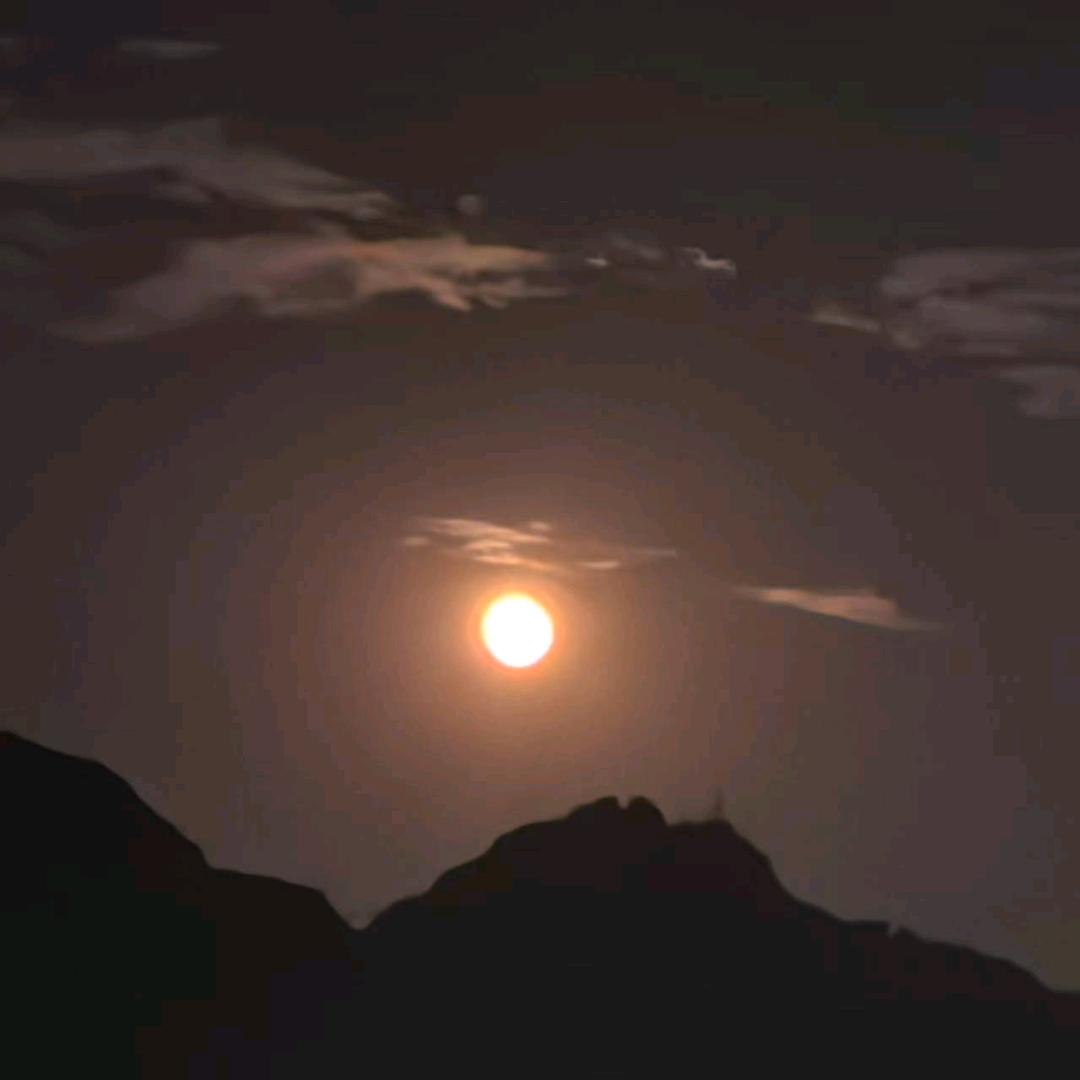 早韦星
