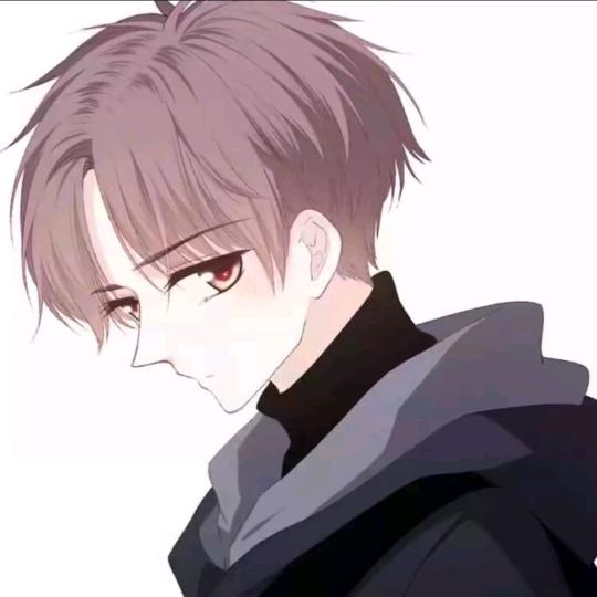 爱玩游戏的风风