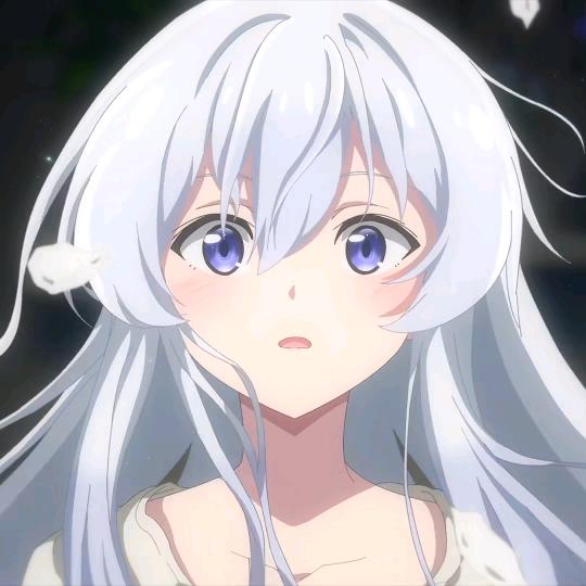笨蛋猫