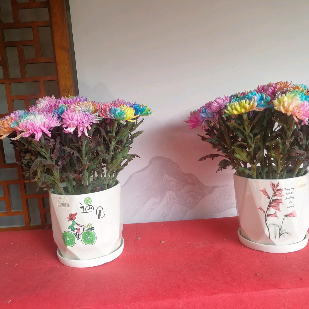 要学会自己爱自己