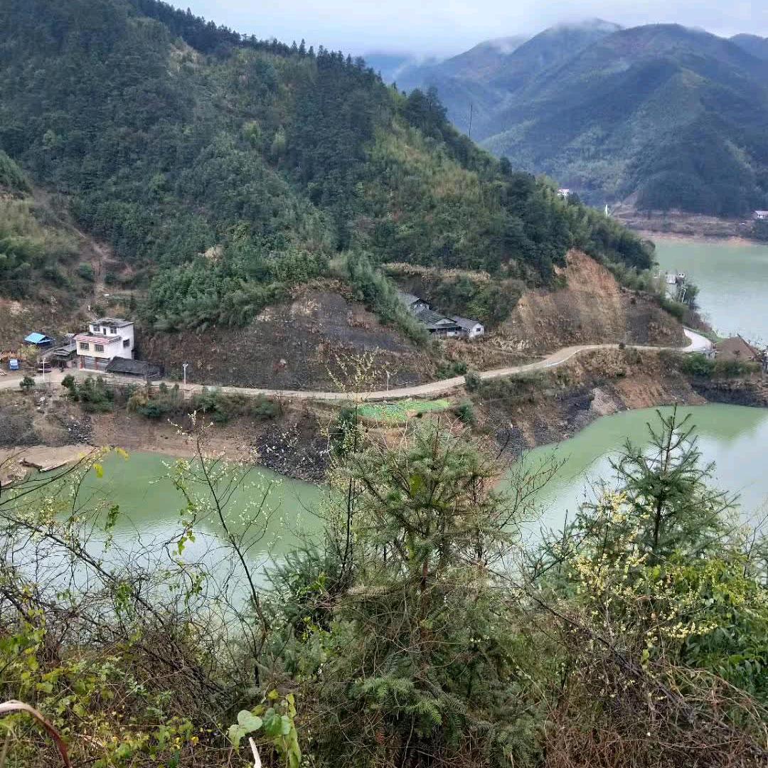 一场秋风一场寒