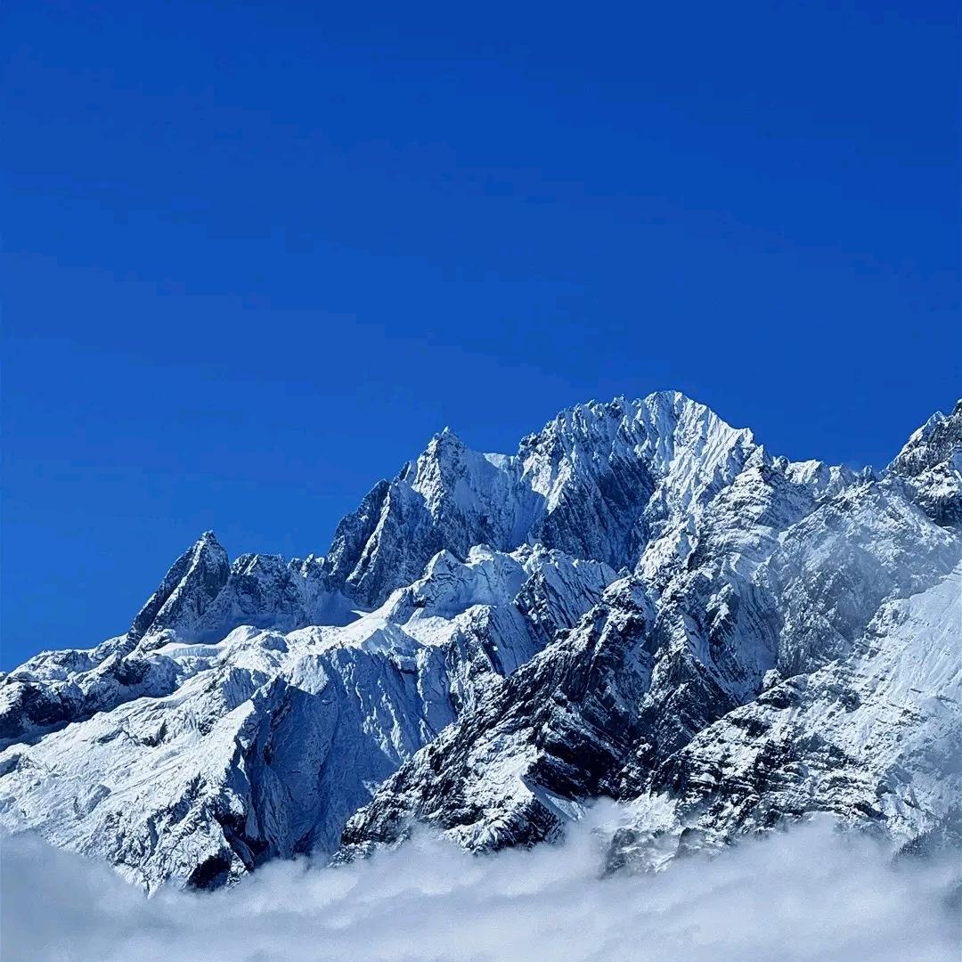 一叶知秋🇨🇳