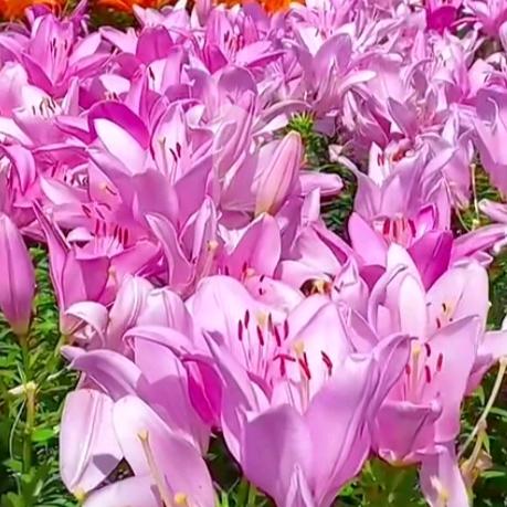 向钱看齐🦋꧔ꦿ᭄💞