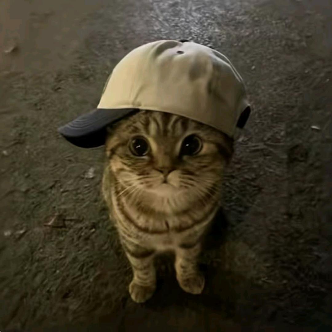 排骨炖豆角