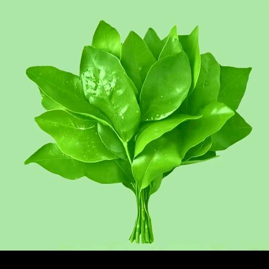 嘿士豆✨ ¹²⁰⁶