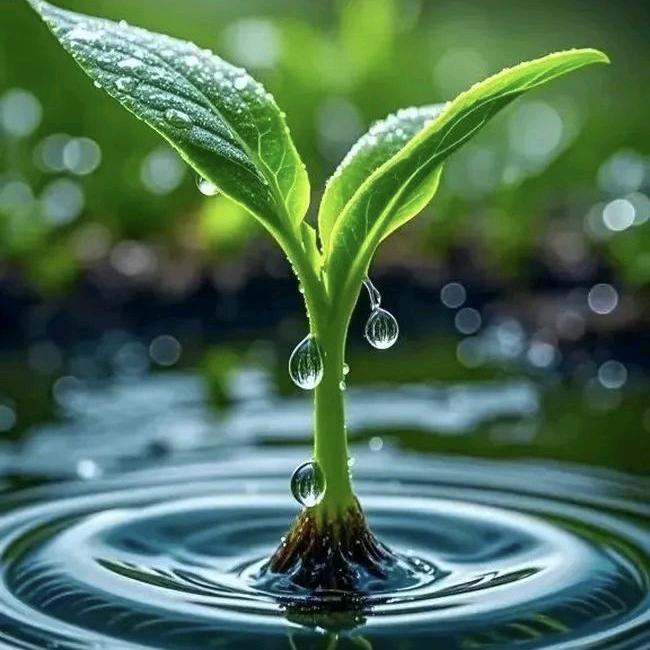 除了坚强💘💔别无选择