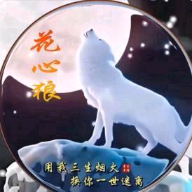 独宠（梅）