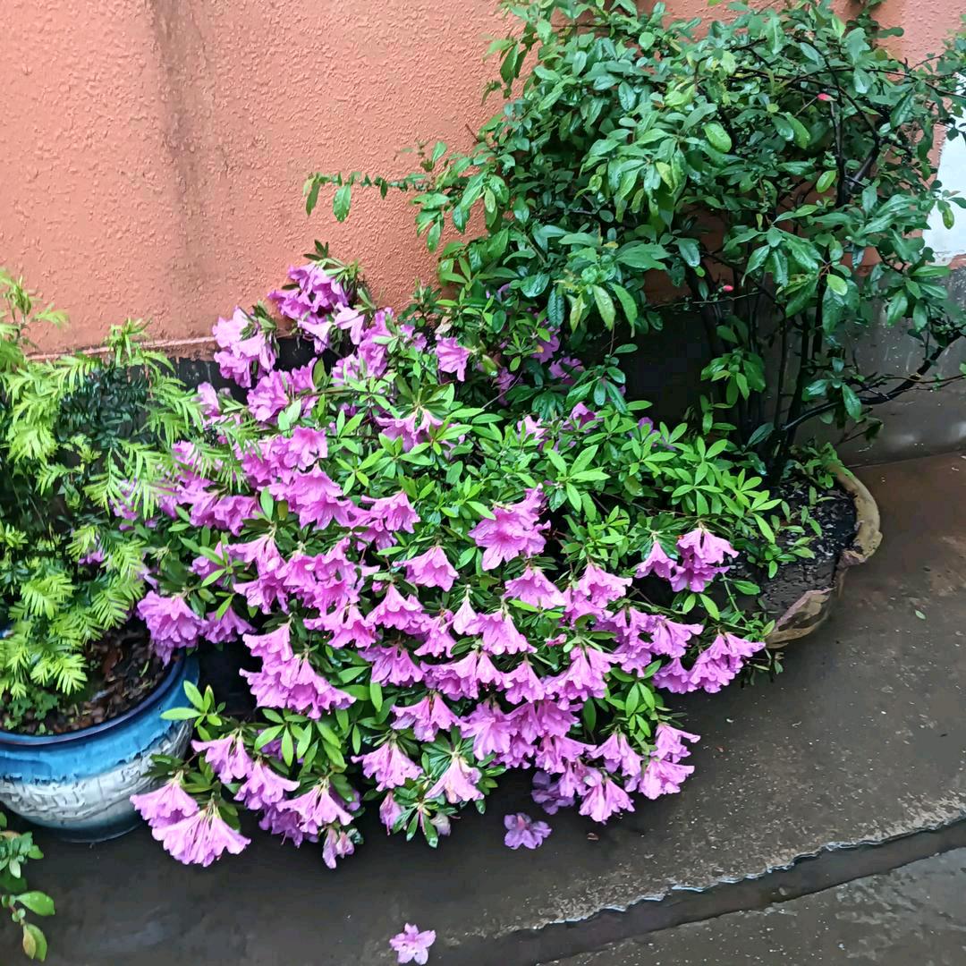 @开心每一天💃🏻🌷