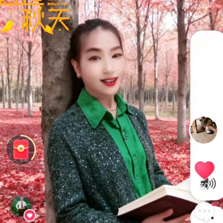 ，。