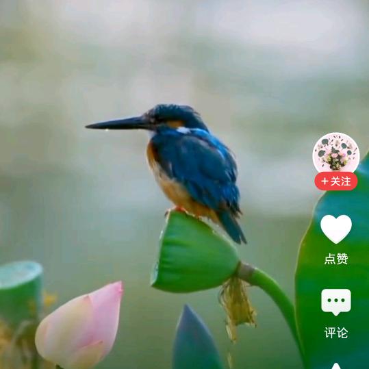咪觉