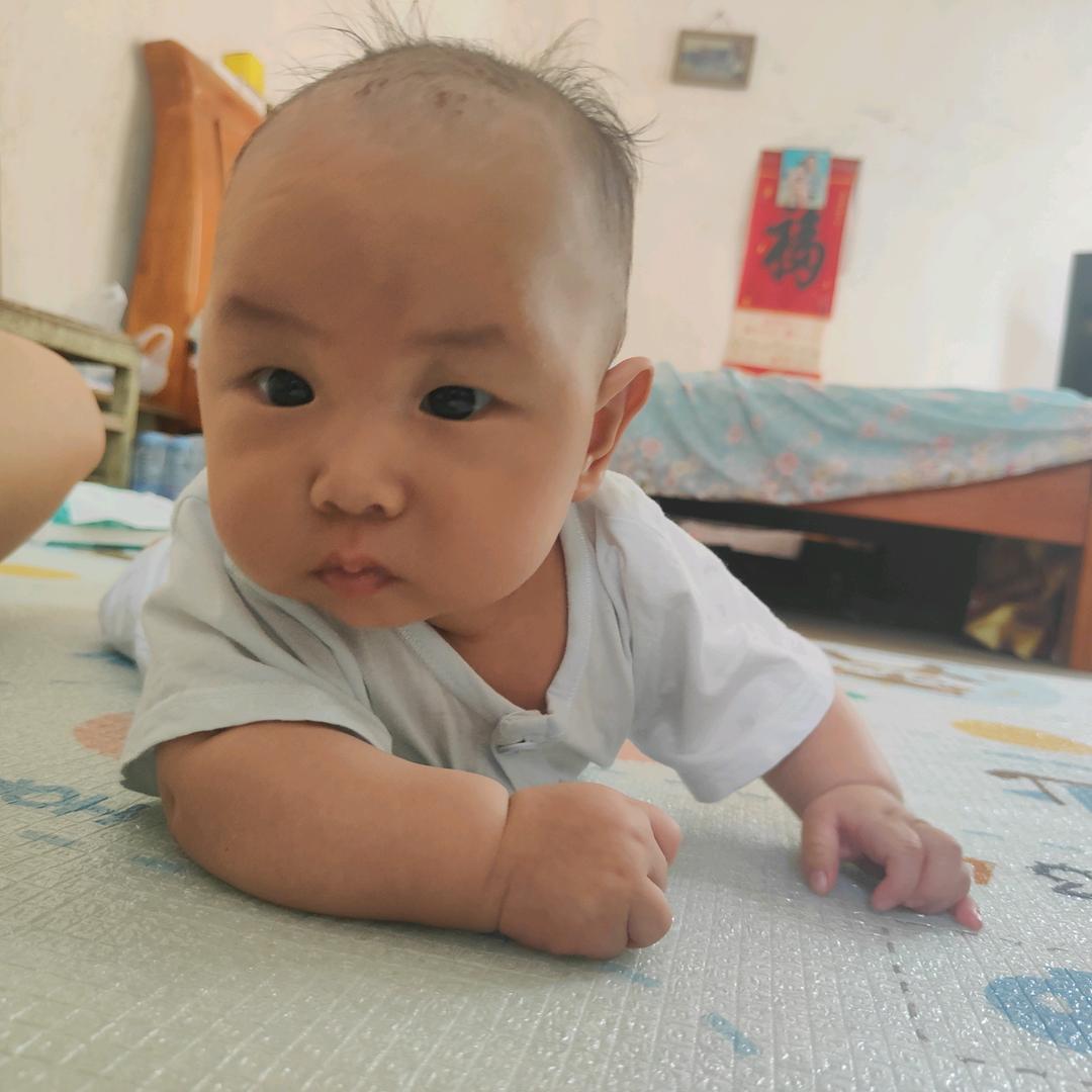 小猪麻麻