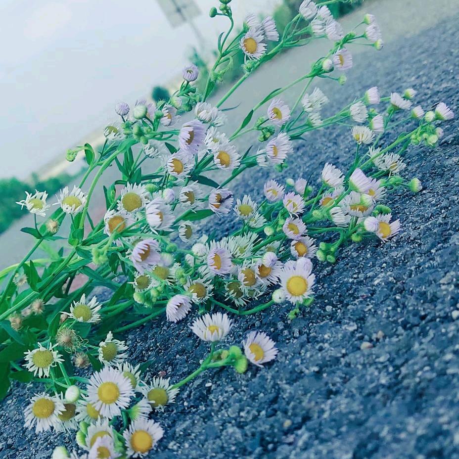 海不能言.亦有悲歡