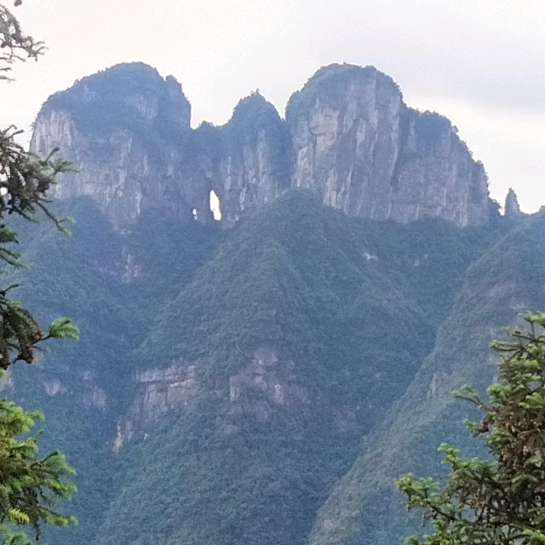 钻山犳