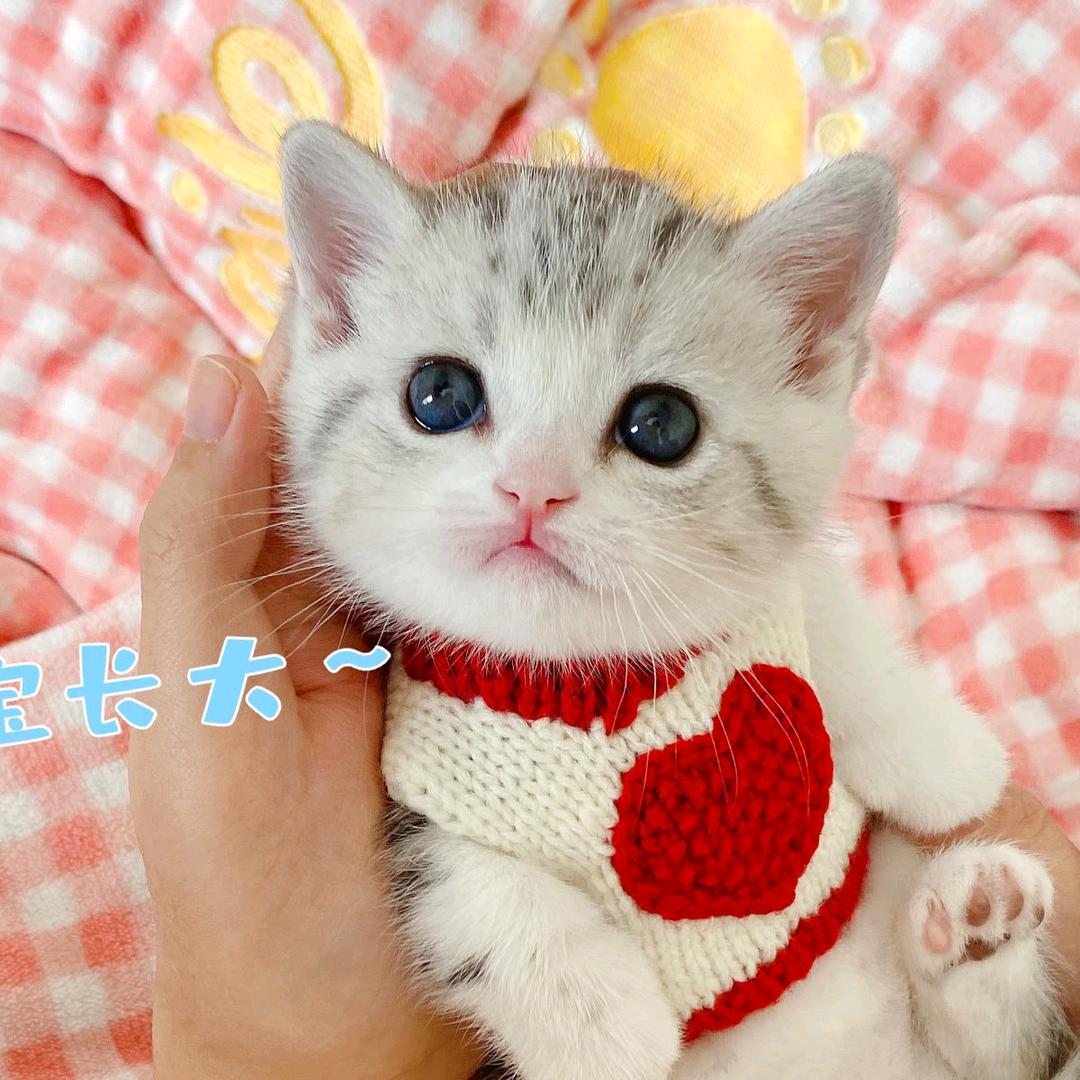 郭晶琦