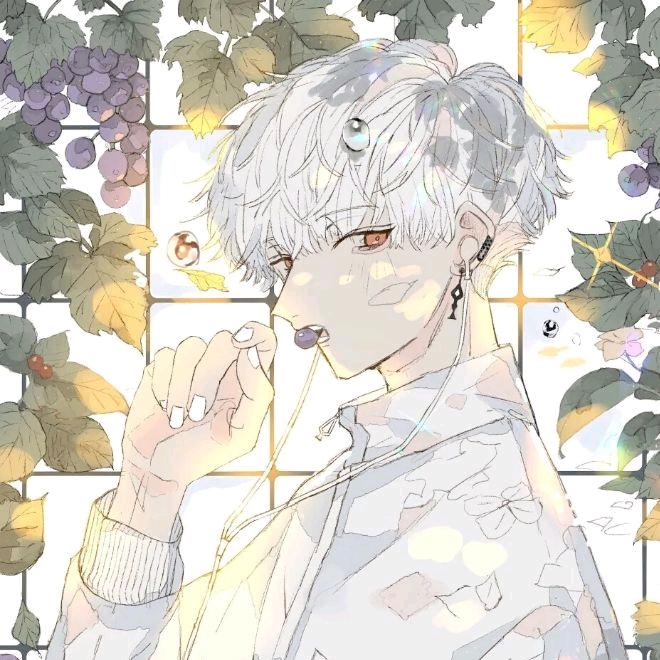 霜染枫.