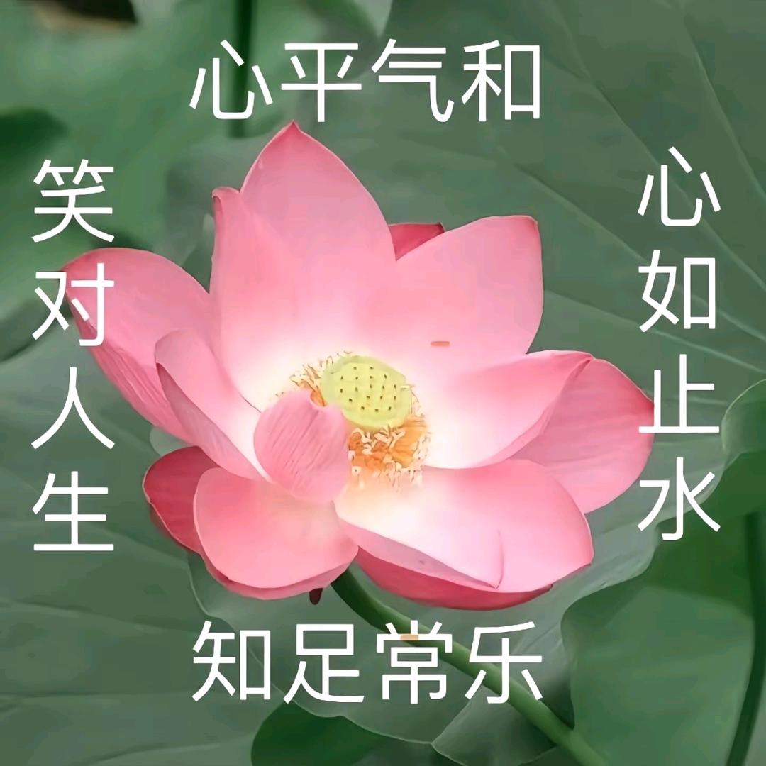榴莲侠（互粉）