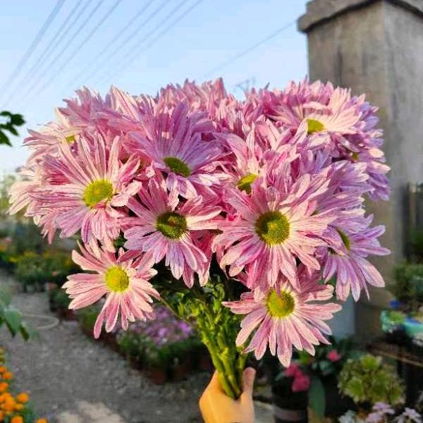 @简单的快乐💞