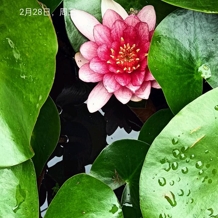 用户1707726676991诚信平静