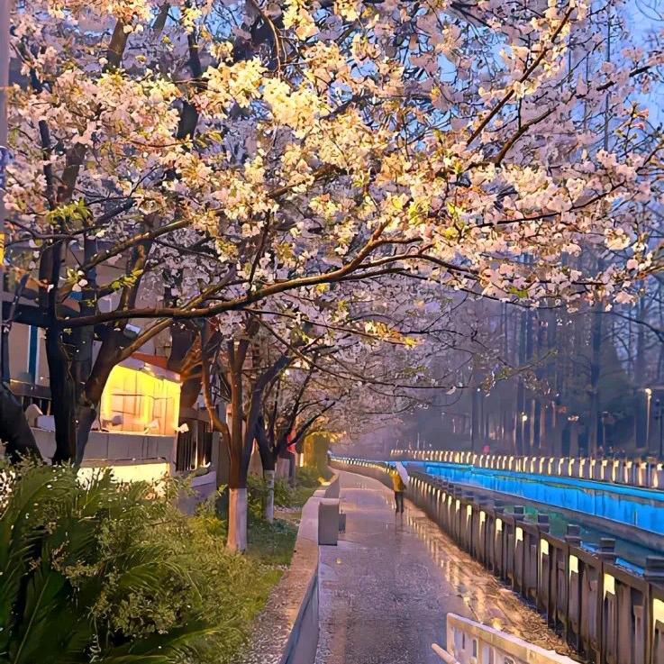 和人类无法交流