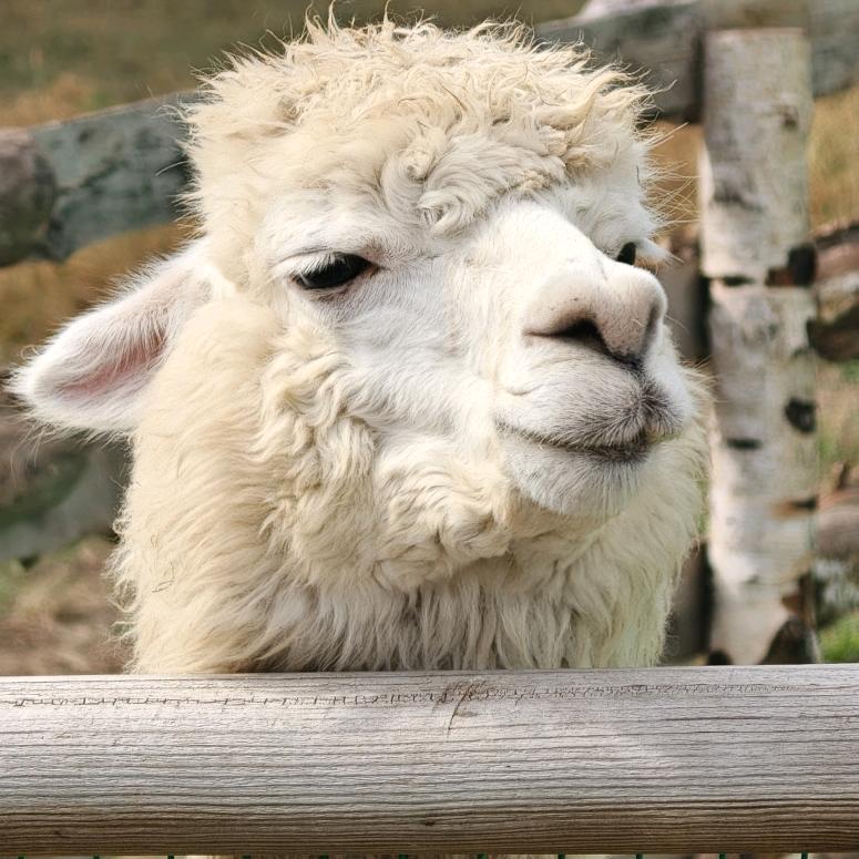 197