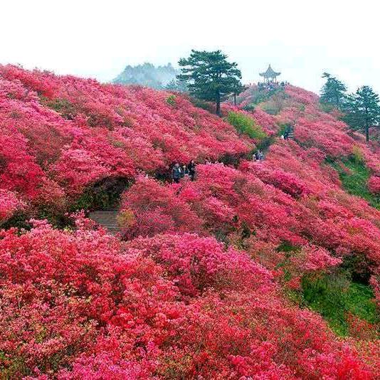 山水风景