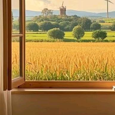 易璋悦家-房灳攼玦