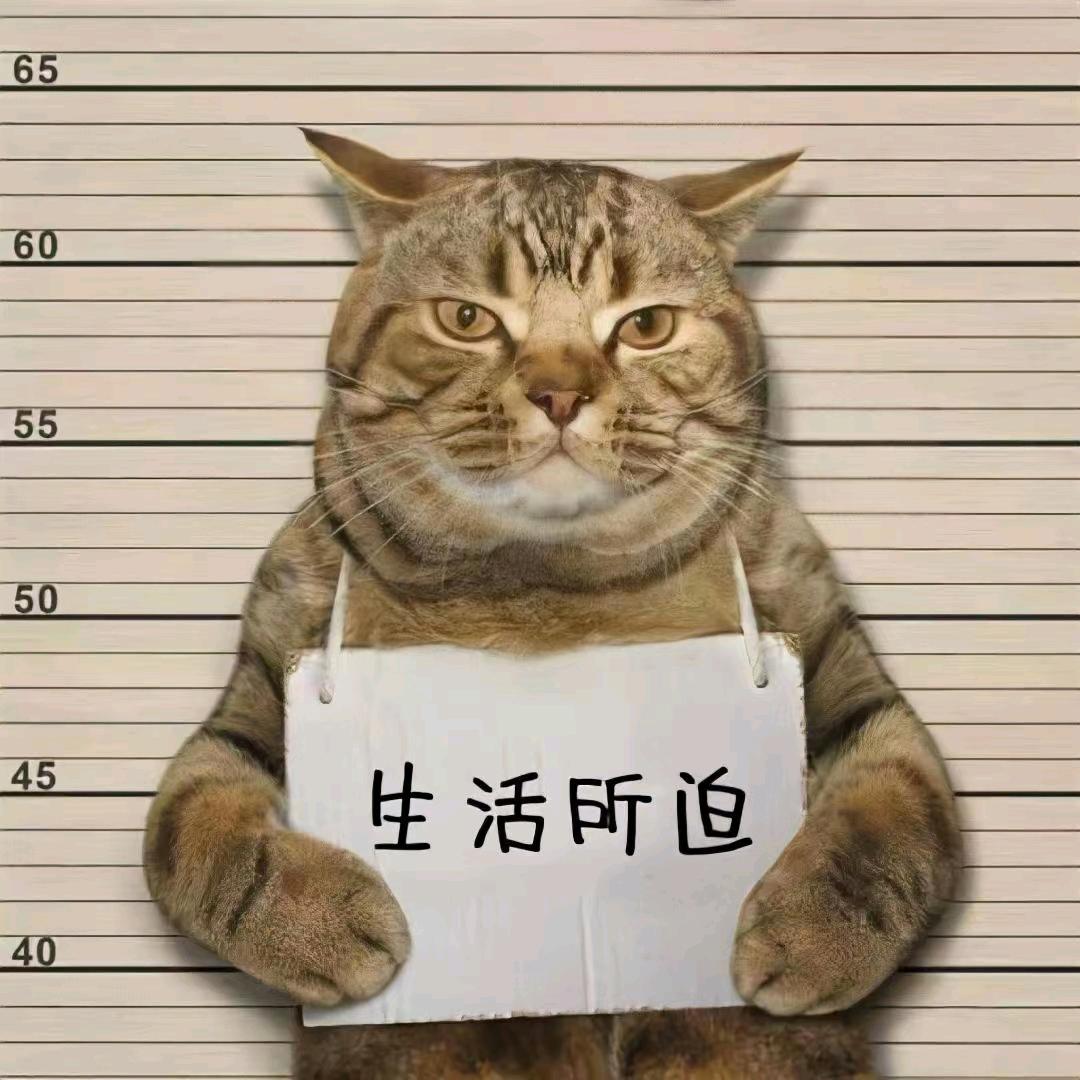 胖虎和小豆豆