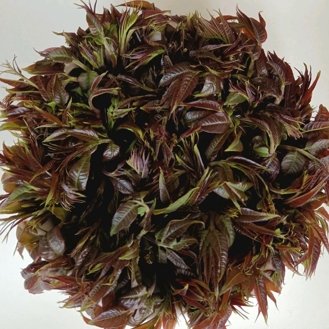 倩宇荣