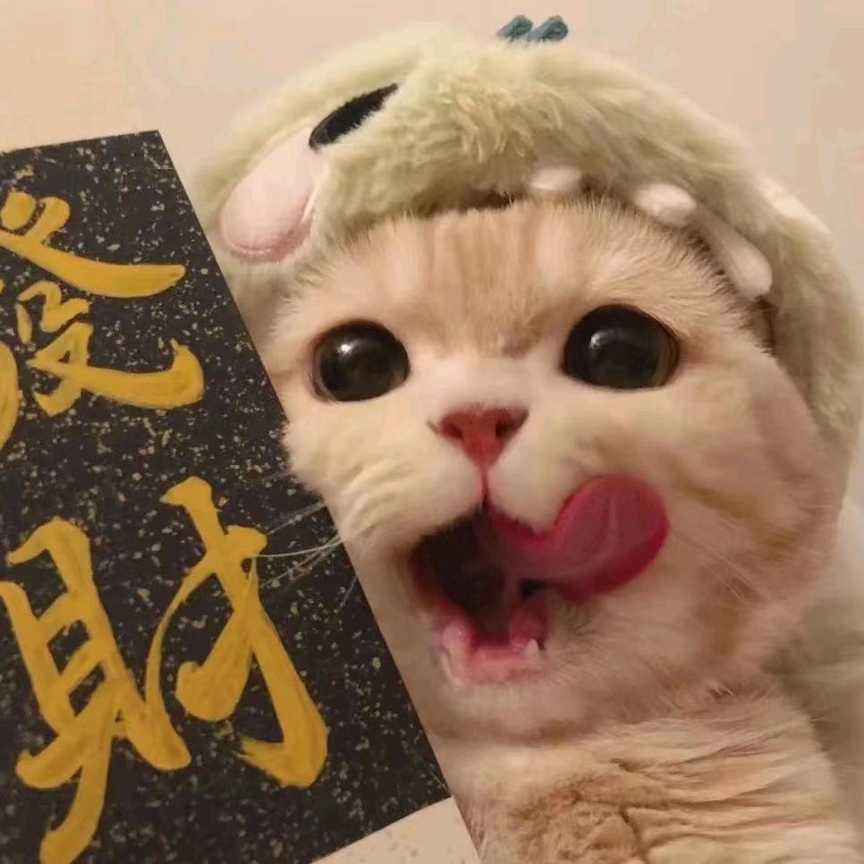 风儿
