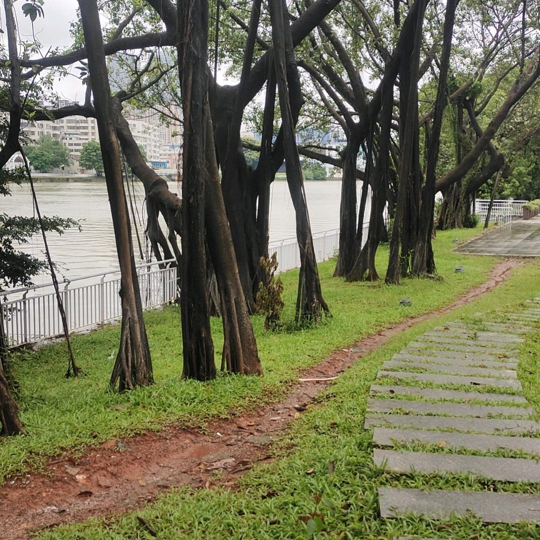 美丽的风景
