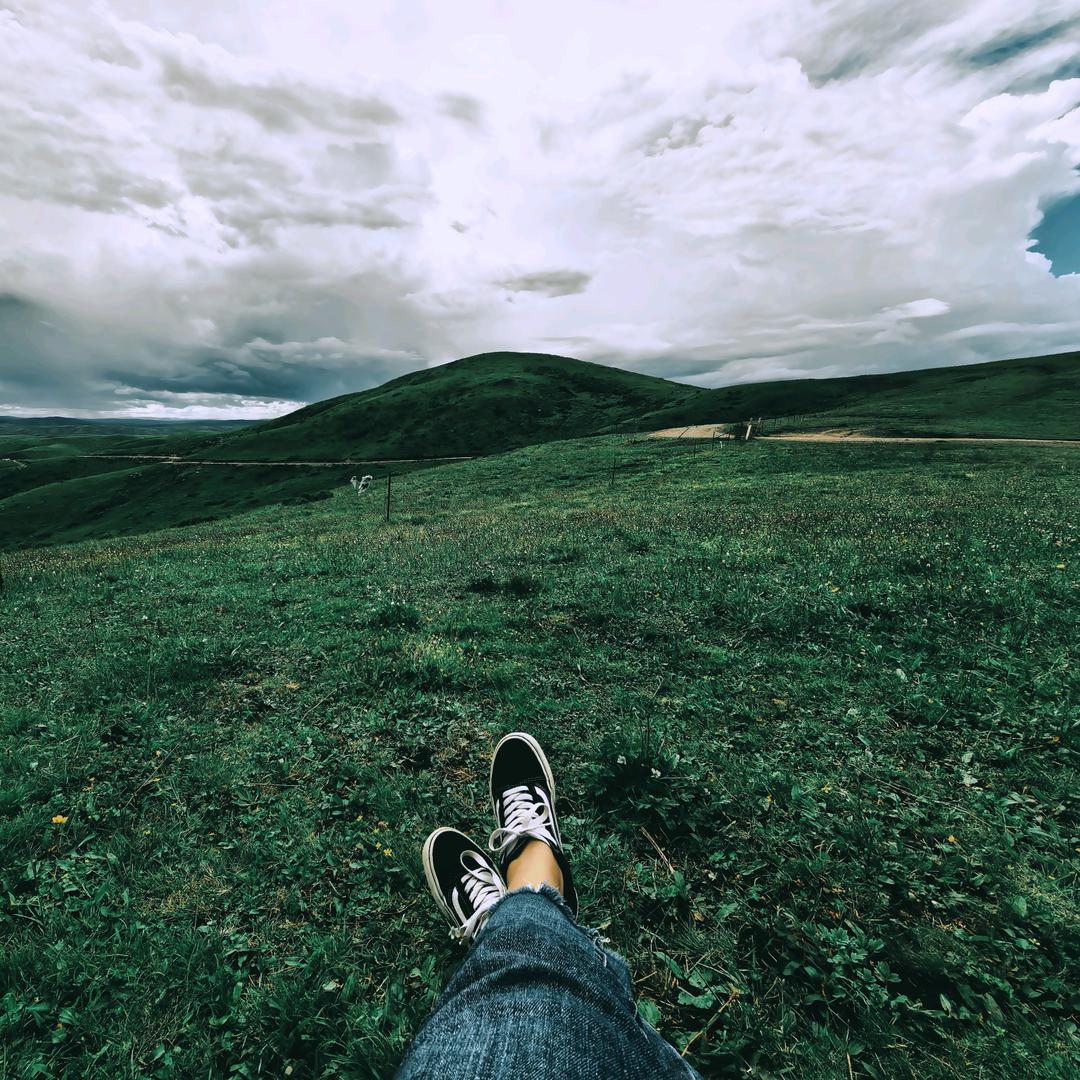 @烫不直的卷毛@