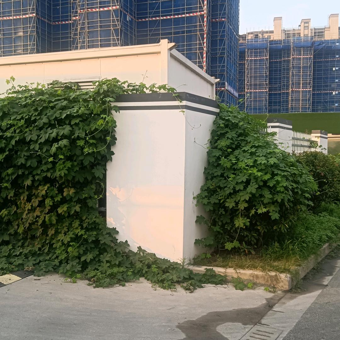 四海为家