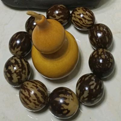 保成就业规划择校咨询