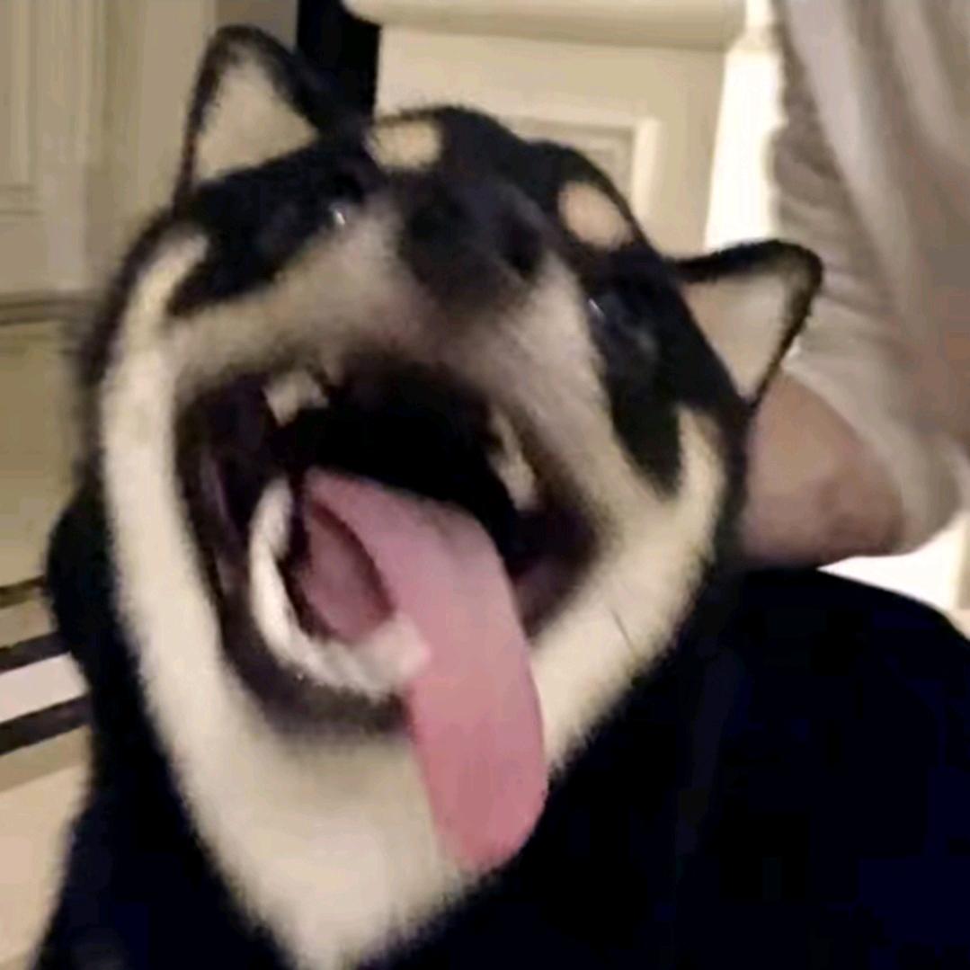 1ah