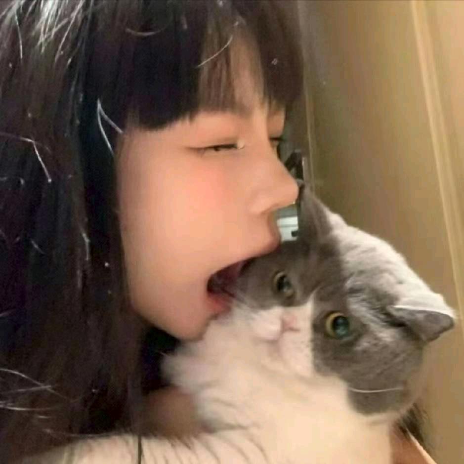 🌸🌸🌸