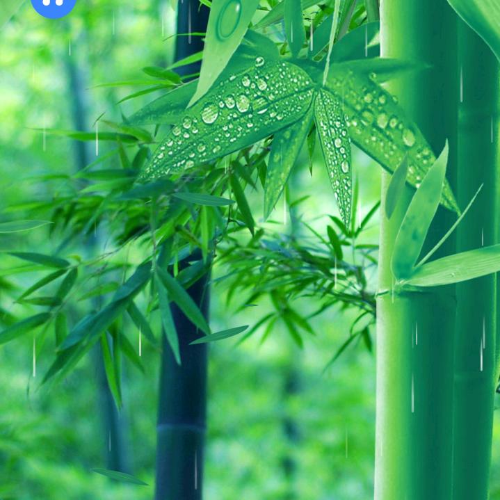 竹子姐