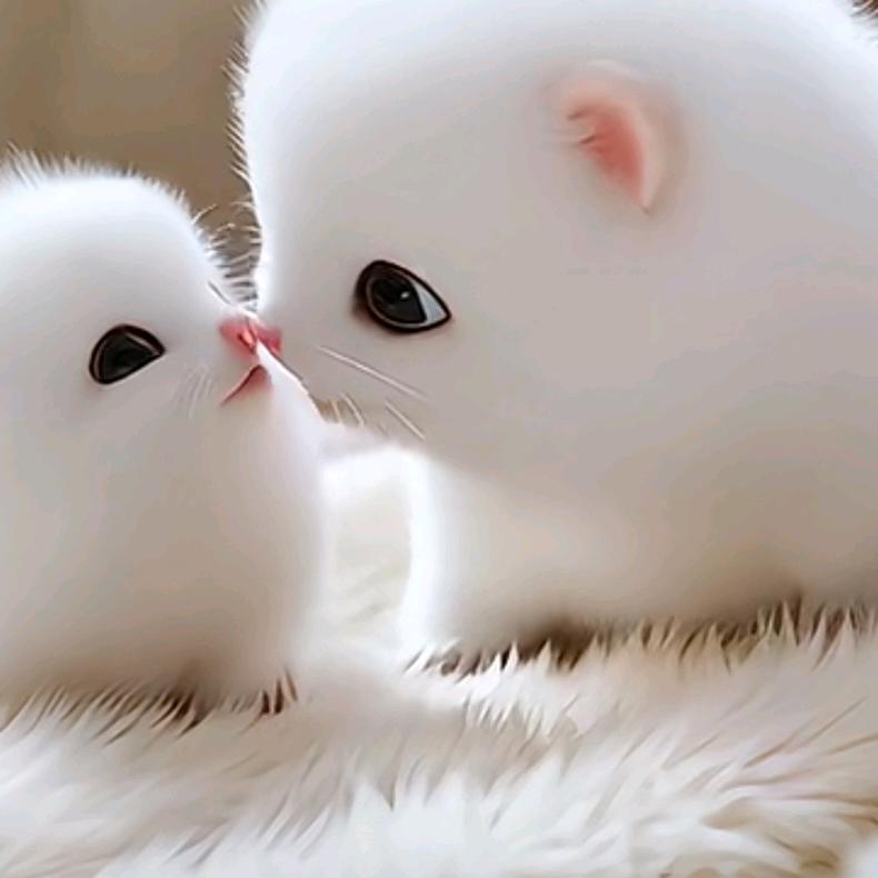 美好的时光橱窗