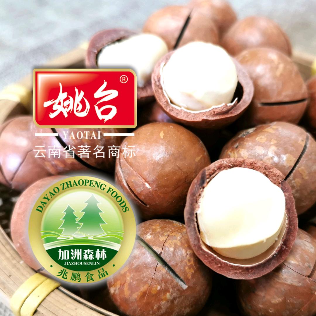 云南姚台核桃夏果