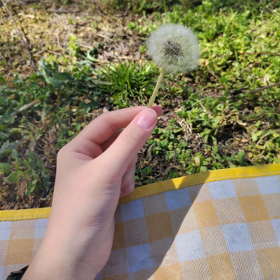 煊妈
