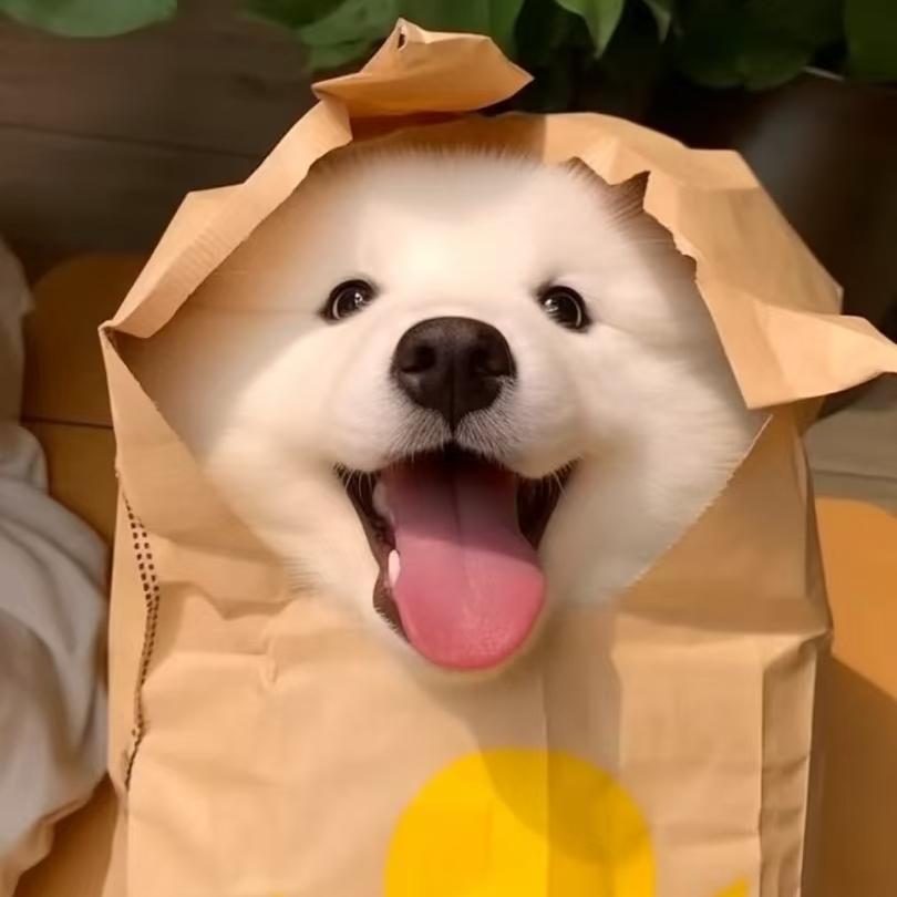 草莓硬糖『3.15-7.21』