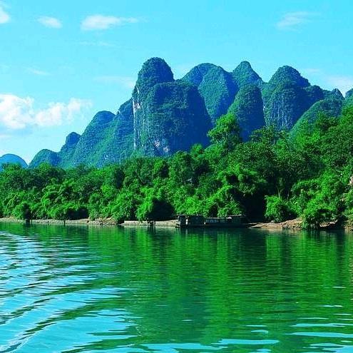 游泳的鱼🐠🍀