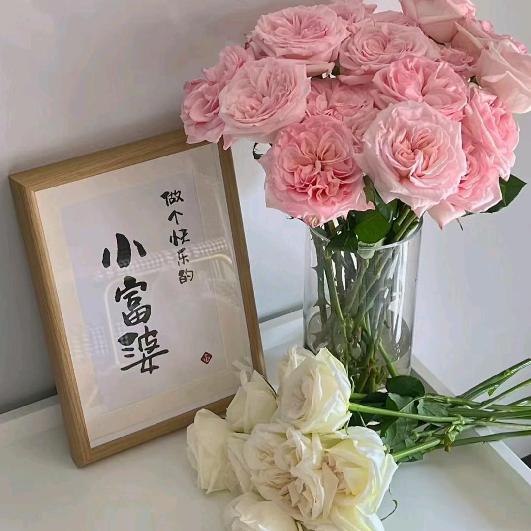 桃子好物精选