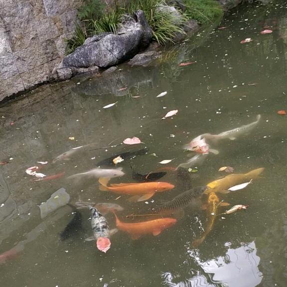 壹贰叁伍