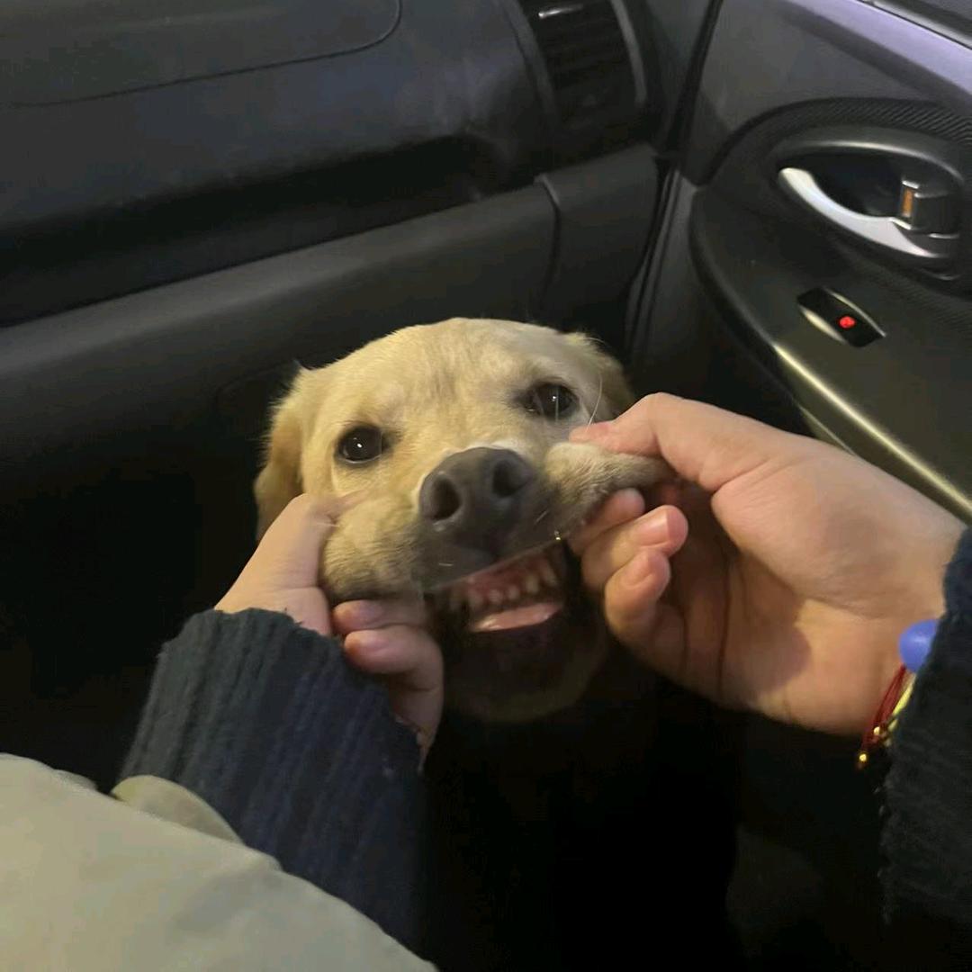 今日·萬事宜·yang